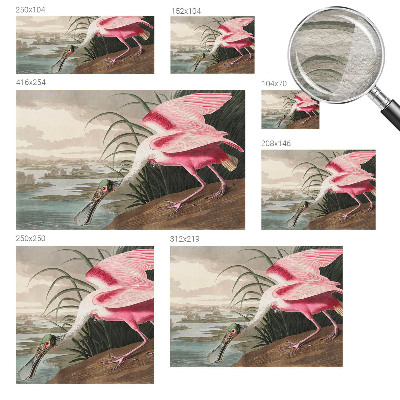 Moderne Vlies-Fototapete mit Motiv eines exotischen Vogels
