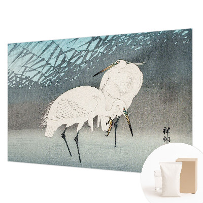 Wand-Fototapete Zarte Vögel