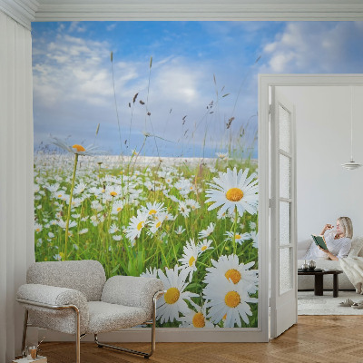 Selbstklebende Fototapete für die Wand Sommerwiese