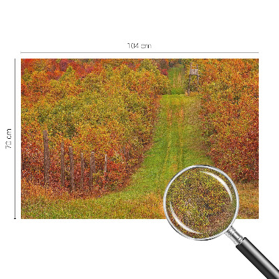 3D-Fototapete Herbstfarben