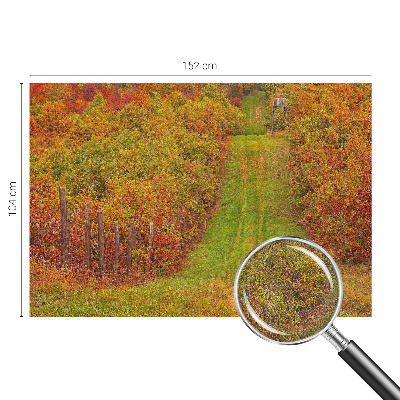 3D-Fototapete Herbstfarben