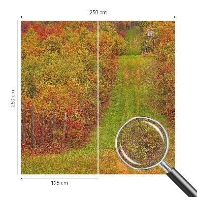 3D-Fototapete Herbstfarben