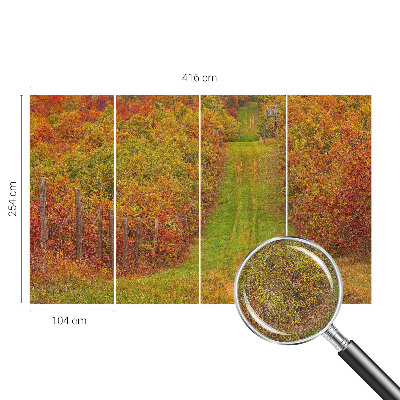 3D-Fototapete Herbstfarben