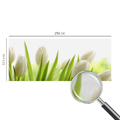 3D-Fototapete Weiße Tulpen