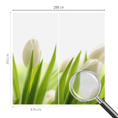3D-Fototapete Weiße Tulpen