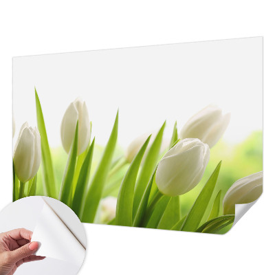 3D-Fototapete Weiße Tulpen