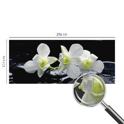 Fototapete nach Maß Blumen und Steine