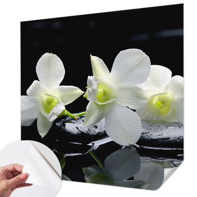 Fototapete nach Maß Blumen und Steine