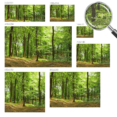 Selbstklebende Fototapete für die Wand Natürlicher Weg