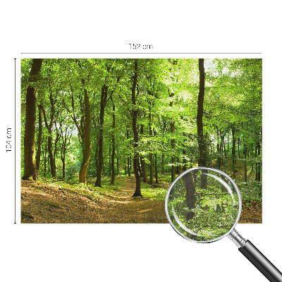 Selbstklebende Fototapete für die Wand Natürlicher Weg