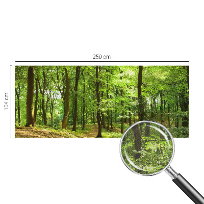 Selbstklebende Fototapete für die Wand Natürlicher Weg