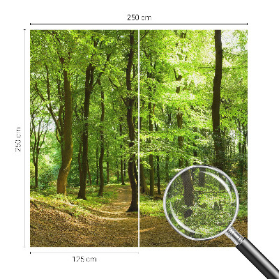 Selbstklebende Fototapete für die Wand Natürlicher Weg