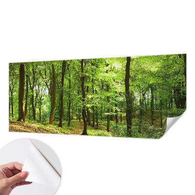 Selbstklebende Fototapete für die Wand Natürlicher Weg