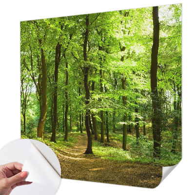 Selbstklebende Fototapete für die Wand Natürlicher Weg