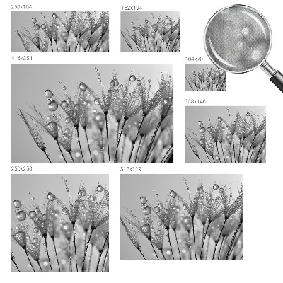 Selbstklebende Fototapete fürs Kinderzimmer Feuchte Delikatesse