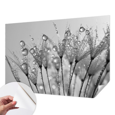 Selbstklebende Fototapete fürs Kinderzimmer Feuchte Delikatesse