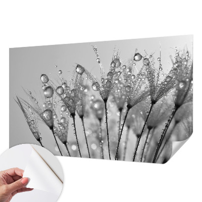 Selbstklebende Fototapete fürs Kinderzimmer Feuchte Delikatesse