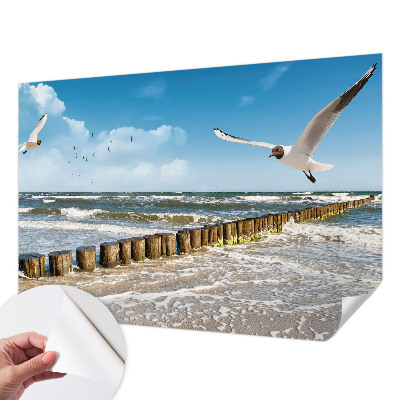 3D-Fototapete fürs Wohnzimmer Küstenlandschaft