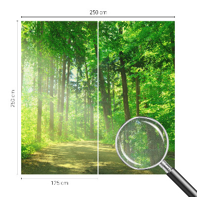 Selbstklebende Fototapete fürs Wohnzimmer Waldweg