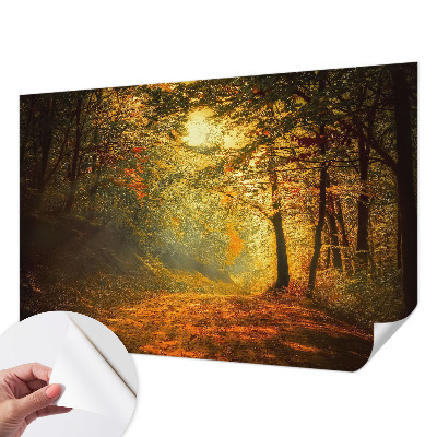 3D-Fototapete Herbstlandschaft