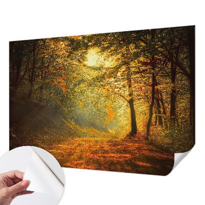 3D-Fototapete Herbstlandschaft