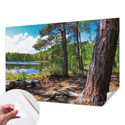 3D-Fototapete fürs Schlafzimmer Waldlandschaft