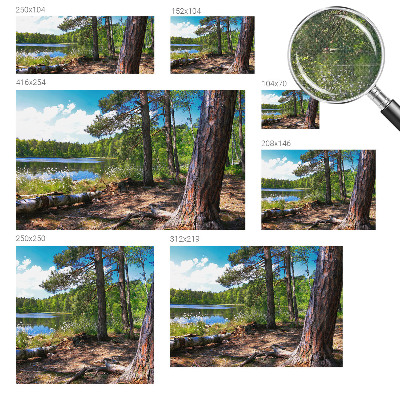 3D-Fototapete fürs Schlafzimmer Waldlandschaft