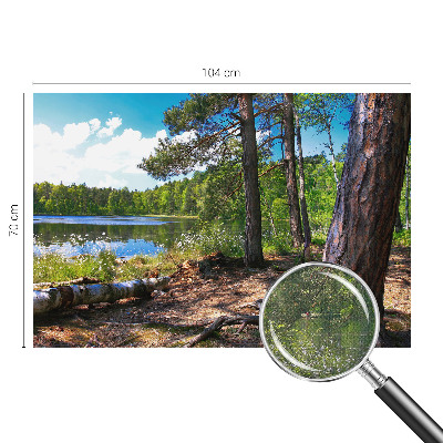 3D-Fototapete fürs Schlafzimmer Waldlandschaft