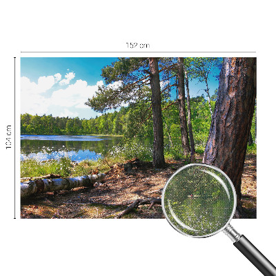 3D-Fototapete fürs Schlafzimmer Waldlandschaft