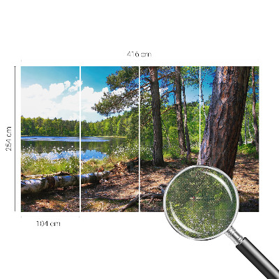 3D-Fototapete fürs Schlafzimmer Waldlandschaft