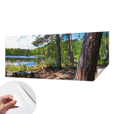 3D-Fototapete fürs Schlafzimmer Waldlandschaft