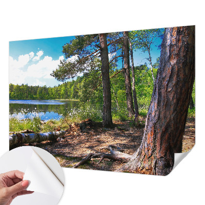3D-Fototapete fürs Schlafzimmer Waldlandschaft