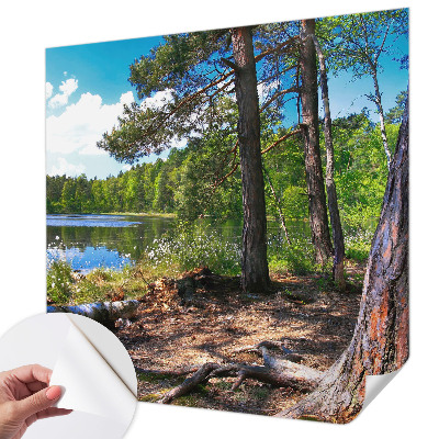 3D-Fototapete fürs Schlafzimmer Waldlandschaft