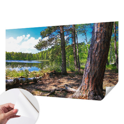 3D-Fototapete fürs Schlafzimmer Waldlandschaft