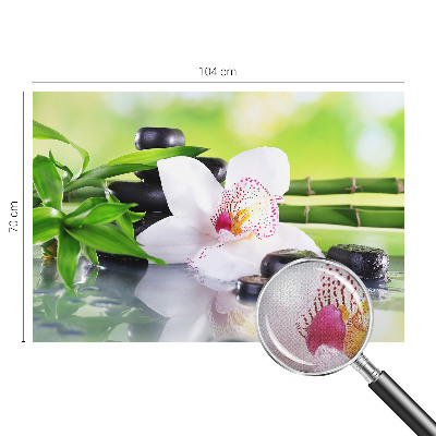 Selbstklebende Fototapete für die Wand Die Ruhe der Natur