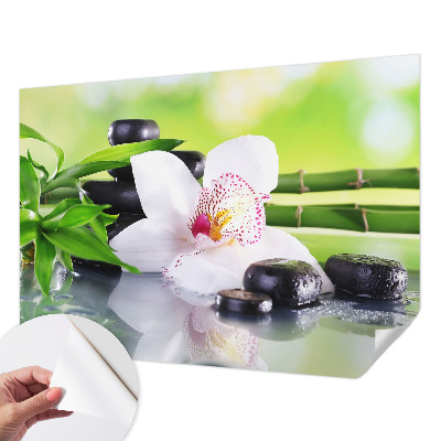 Selbstklebende Fototapete für die Wand Die Ruhe der Natur