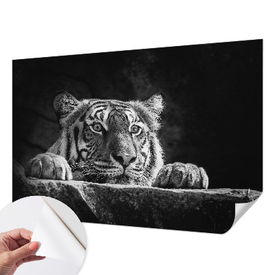 Hochwertige Bildtapete Raubtierblick