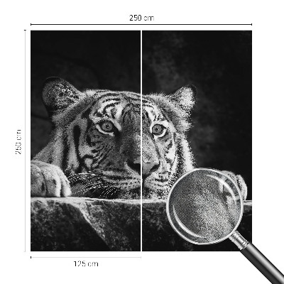 Hochwertige Bildtapete Raubtierblick