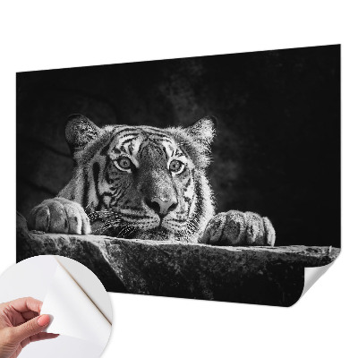 Hochwertige Bildtapete Raubtierblick