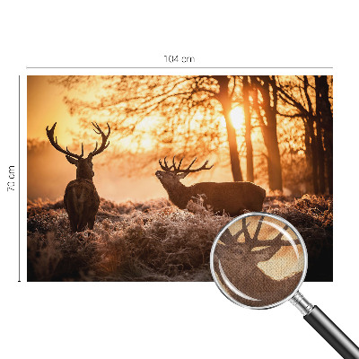 Selbstklebende Fototapete für die Wand Rehe am Morgen