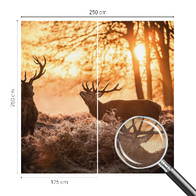 Selbstklebende Fototapete für die Wand Rehe am Morgen