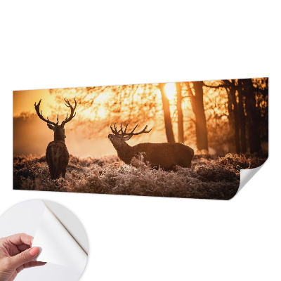 Selbstklebende Fototapete für die Wand Rehe am Morgen