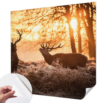 Selbstklebende Fototapete für die Wand Rehe am Morgen