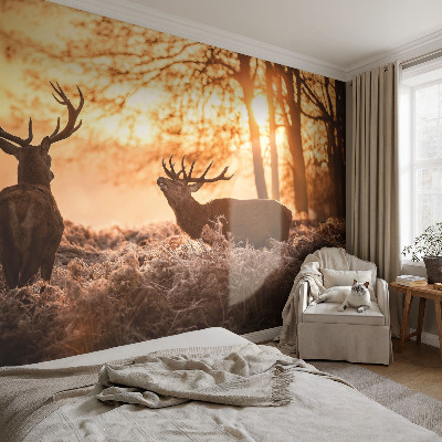 Selbstklebende Fototapete für die Wand Rehe am Morgen