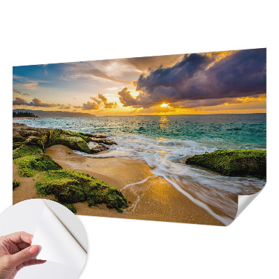 Vintage tapete Maritime Harmonie