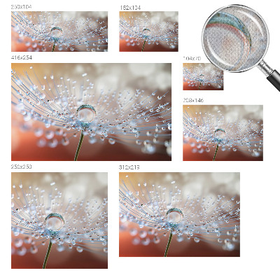 Moderne Fototapete nach Maß Ein Tropfen auf einem Löwenzahn