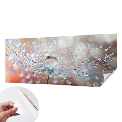 Moderne Fototapete nach Maß Ein Tropfen auf einem Löwenzahn