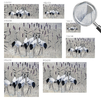 Moderne Fototapete nach Maß Harmonische Kraniche