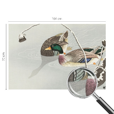 Motivtapete fürs Wohnzimmer Ruhige Enten