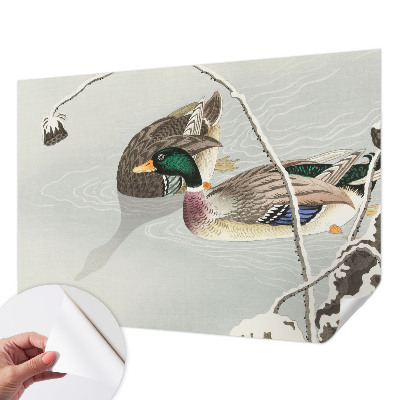 Motivtapete fürs Wohnzimmer Ruhige Enten